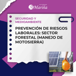 PREVENCIÓN DE RIESGOS LABORALES: SECTOR FORESTAL (MANEJO DE MOTOSIERRA)